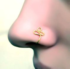 a close up view of a nose with a gold ring on it's side