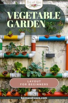 an image of a vegetable garden with lots of plants growing on it and the title overlay reads, vegetable garden layout for beginners