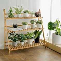 a shelf filled with potted plants next to a white chair