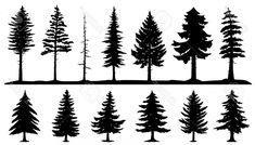 the silhouettes of different trees on a white background