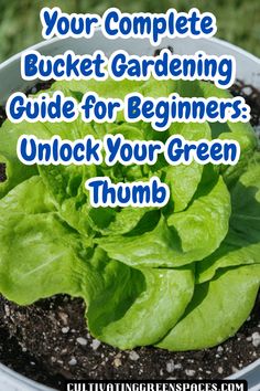 a potted plant with lettuce growing in it and the words, your complete bucket gardening guide for beginners unlock your green thumb