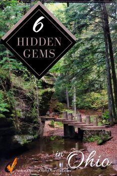 the cover of hidden gems in ohio, featuring a creek and bridge surrounded by trees