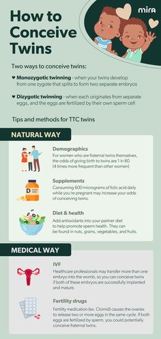 an info sheet describing how to use toothbrushes for oral hygiene and dental care