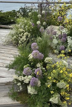 flowers and plants are growing on the side of a wooden walkway