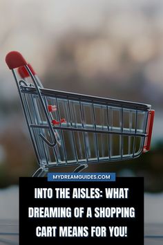 a shopping cart with the words into the aisles what dreaming of a shopping cart means for you