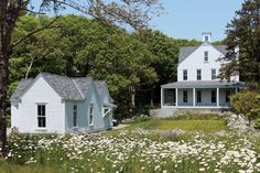 two white houses sitting in the middle of a field with wildflowers on it