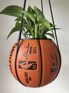 a basketball planter hanging from a wall