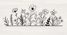 an illustration of flowers and plants on a white background with black lines in the middle