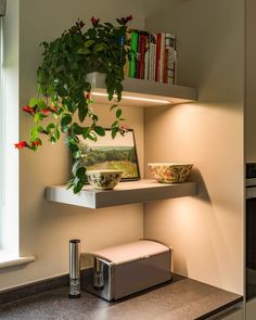 a potted plant sitting on top of a shelf next to a toaster oven