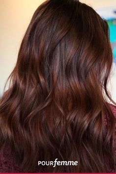 Red Brunette Highlights, Orchard Red Hair Color, Hair Color Ideas For Brunettes For Fall Copper Dark Brown, Brunette With Auburn, Dark Reddish Brown Hair Color, Dark Auburn Hair Color With Highlights, Brunette Hair With Red Highlights, Brunette To Red Hair, Brunette With Red Undertones