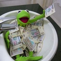 kermie the frog in a sink full of money