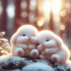 two little white bunnies sitting on top of snow covered ground next to each other