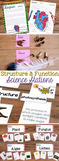 science station with pictures and text on it