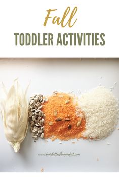 an image of fall toddler activities with pumpkins and rice on the side,