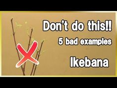 there is a sign that says don't do this 5 bad examples ikebana