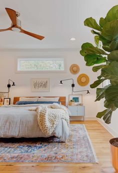 a bedroom with a bed, ceiling fan and large potted plant in the corner