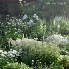 the garden is full of white flowers and green plants, including an assortment of grasses