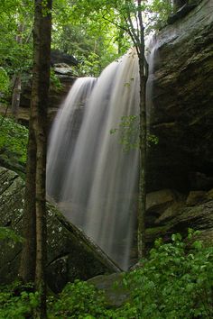 a large waterfall in the middle of a forest