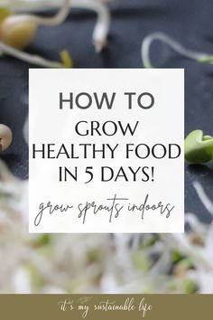 the words how to grow healthy food in 5 days on top of some sprouts