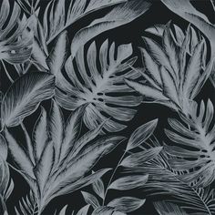 black and white leaves on a dark background