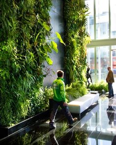 people are walking through an office lobby with plants growing on the walls and flooring