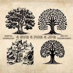 four tree silhouettes with different shapes and sizes