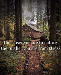 Home In The Forest, Mother Nature Quotes, Off Grid Homestead, Into The Woods Quotes, Beating Heart, Cabin In The Woods, Cabin Life