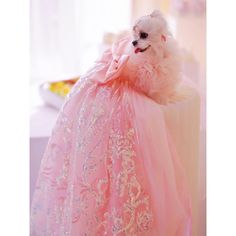 a small white dog in a pink dress