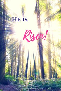 the words he is risen are surrounded by trees and grass in front of bright sunbeams