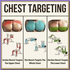 an exercise poster with instructions on how to use dumbbles and chest workouts