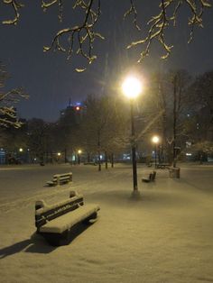 snow covered park benches and street lights at night