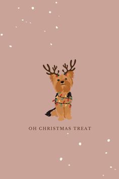 Cute Dog Halloween Wallpaper, Goldendoodle Wallpaper Iphone, Dog Christmas Aesthetic, Dog Procreate Art, Puppies First Christmas, Christmas Dogs Aesthetic, Christmas Dogs Wallpapers, Christmas Dog Background, Christmas Wallpaper Cute Aesthetic