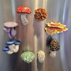 several different types of mushrooms are on display