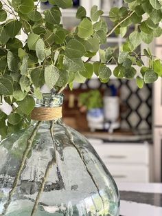 a glass vase filled with green leaves sitting on top of a kitchen counter next to a stove