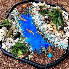 a tray filled with rocks and plants on top of a dirt ground next to a pond