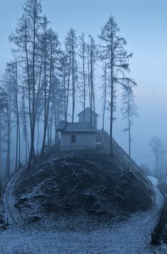 a house sitting on top of a hill surrounded by trees in the foggy weather