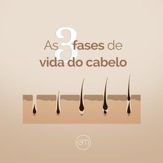 O nascimento de novos fios representa um novo ciclo de vida no organismo.  Arraste para o lado para entender quais fases estão envolvidas ao longo do tempo de vida do cabelo!



✨ Se você quer começar a sua jornada na terapia capilar, agende uma consultoria comigo e tire todas as dúvidas sobre os cuidados capilares ideais para você! Head Spa, Post Instagram, Stories Instagram, Hair Hacks