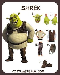 an image of the costume for shrek