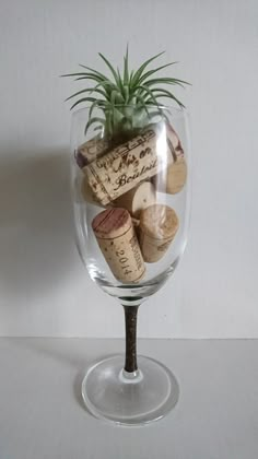 a glass filled with lots of wine corks and a small air plant in it