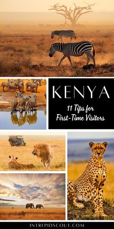 kenya 11 tips for first - time visitors by stephen out, from flicks out com