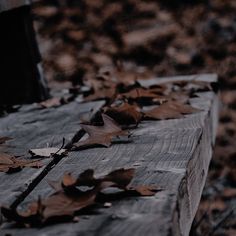 the leaves are laying on the wooden bench