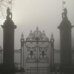 an ornate gate with statues on top in the fog