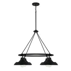 two light chandelier with black metal fixtures