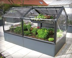 an outdoor greenhouse with plants growing in it