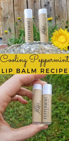 Goat Milk Lip Balm, Goat Milk Chapstick Recipe, Goat Milk Lip Balm Recipe, Lipbalm Diy Recipes, Peppermint Lip Balm Recipe, Diy Peppermint Lip Balm, Chapstick Recipe, Melts Recipes, Beeswax Recipes