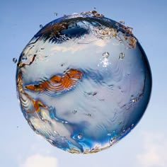 an orange fish swims in the clear blue water on top of a round glass ball