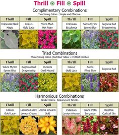 the different types of flowers and their names are shown in this chart, which shows how they