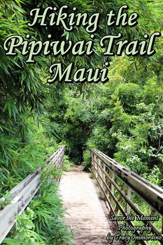 the cover of hiking the ririwai trail in mau'i, hawaii