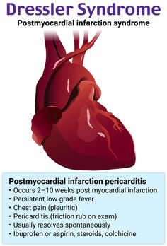 the heart is shown with information about its function and functions in this graphic, you can see