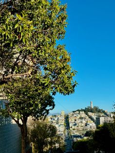 a view of the city from behind some trees